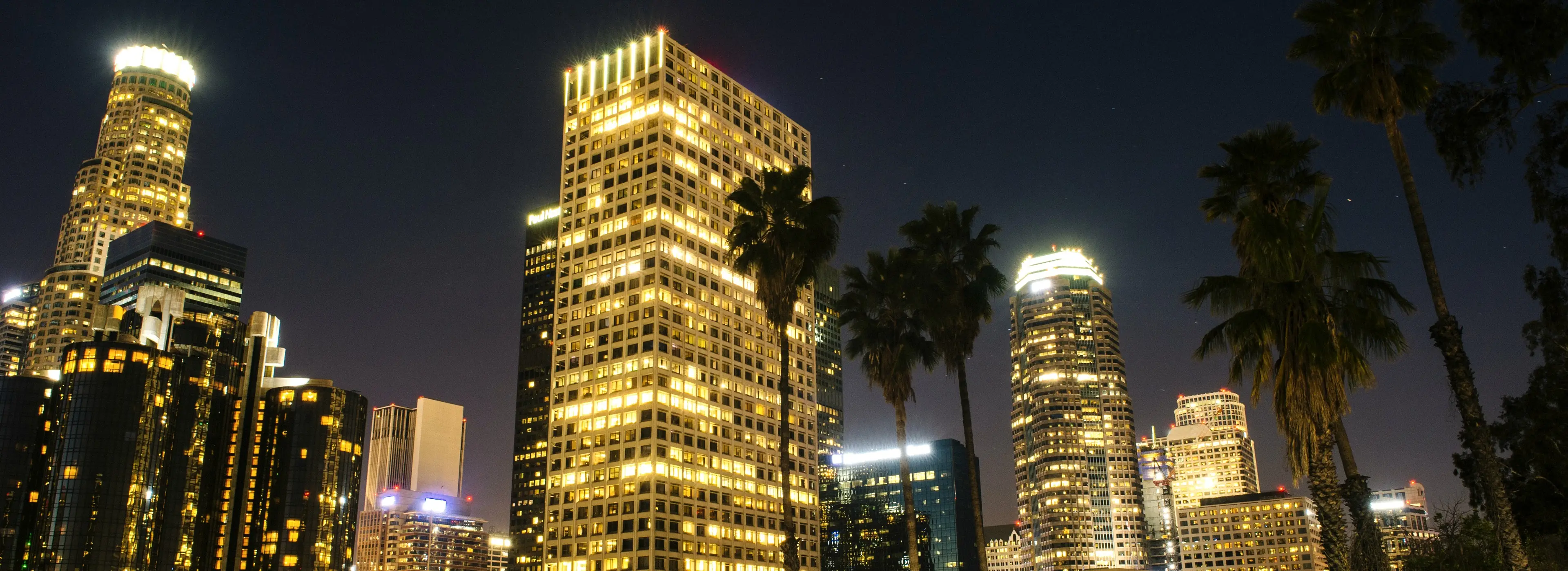 Downtown Los Angeles towers lit at night behind palm trees